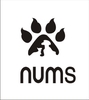 N.U.M.S TECHNOFASHIONS INDIA PVT LTD