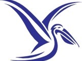 PELICANS AUTOMOTIVE & PROMOTIONAL PRODUCTS (Logo)
